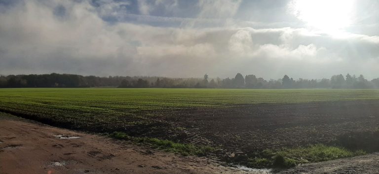 Feldweg, Feld, Wolken und Sonne